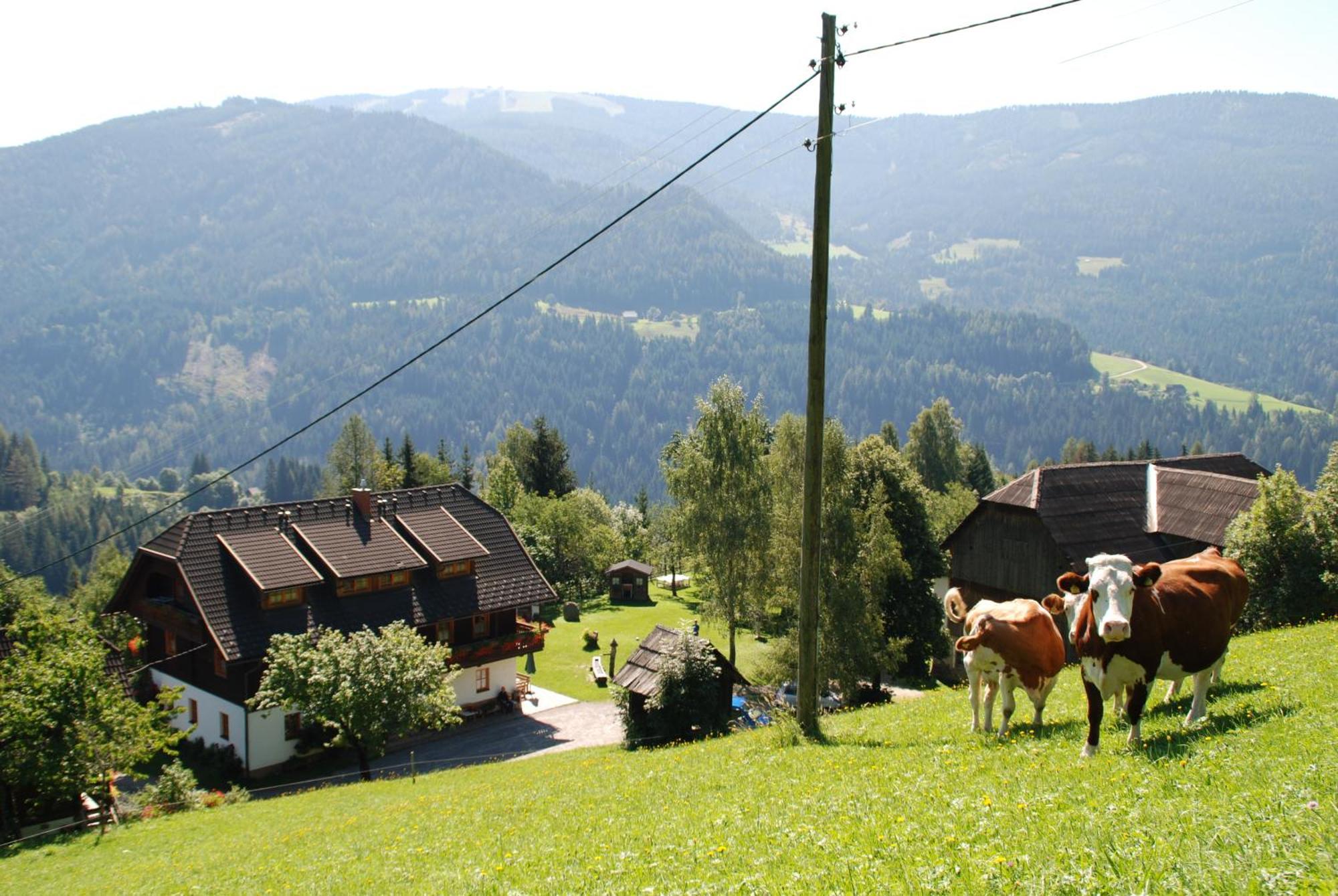 Ferienwohnung Lahnerhof 아리아흐 외부 사진