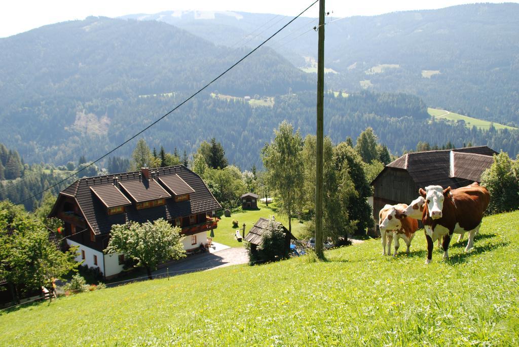 Ferienwohnung Lahnerhof 아리아흐 외부 사진